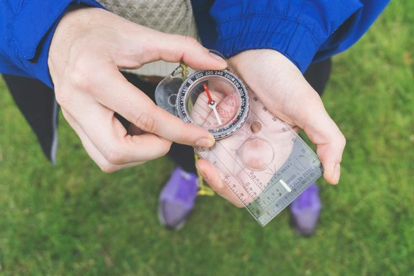 Croisières sur la Mer de Cortez : Découverte de la faune marine